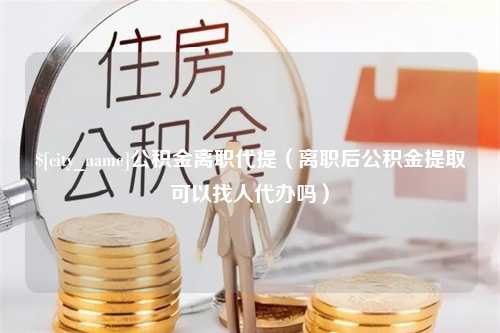 海口公积金离职代提（离职后公积金提取可以找人代办吗）