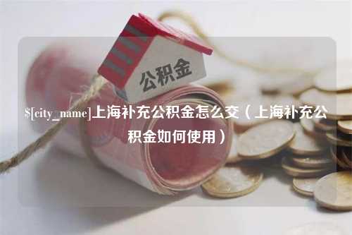 海口上海补充公积金怎么交（上海补充公积金如何使用）